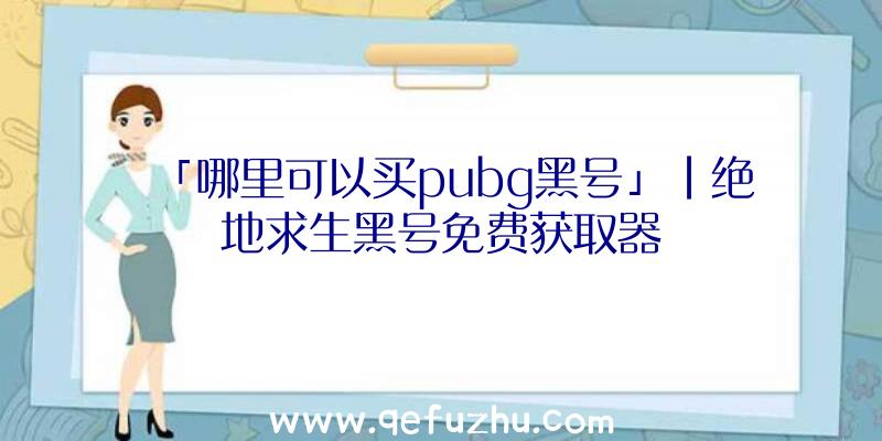 「哪里可以买pubg黑号」|绝地求生黑号免费获取器